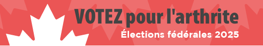 Élections fédérales 2025