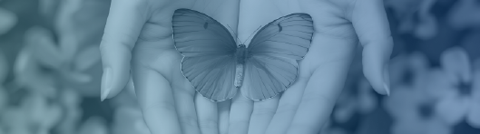 JointHealth Insight